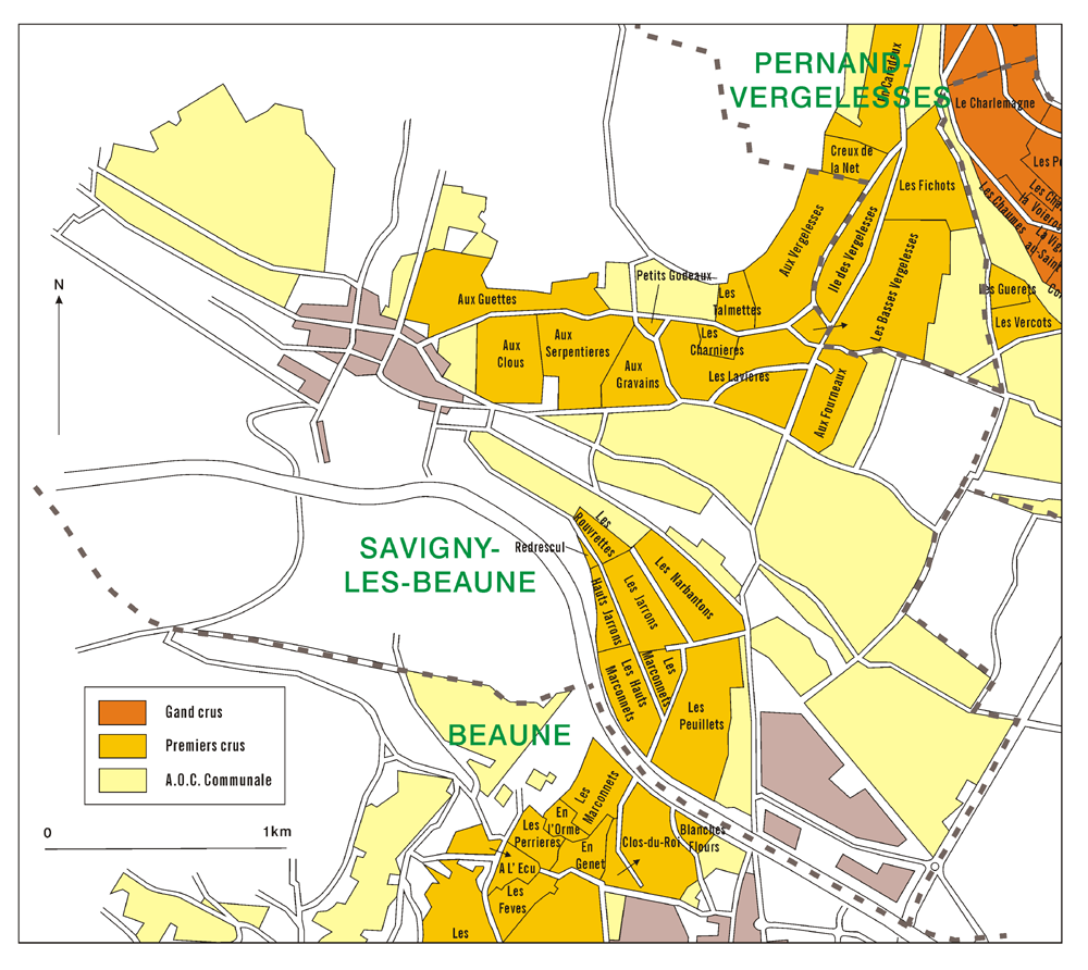 TBjBEE{[k(Savigny-Les-Beaune)̃N}n}
