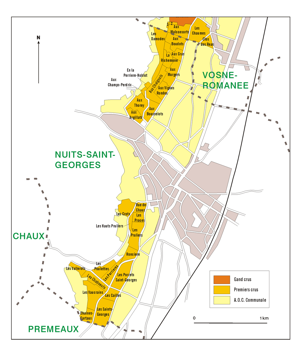 jCETEWW(Nuits-Saint-Georges)̃N}n}
